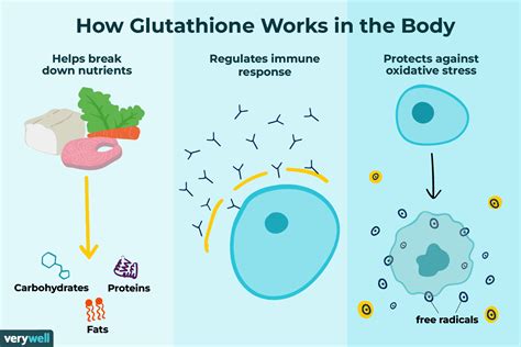  Glutation – En kraftfull antioxidant för farmaceutiska och kosmetiska applikationer!