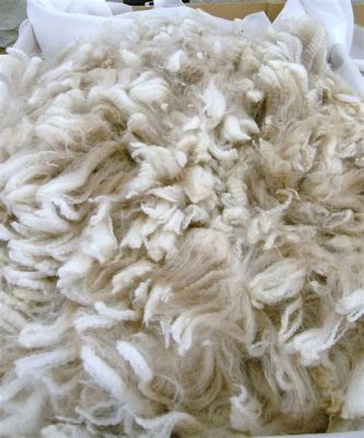 Alpacafiber – En Mjuk och Hållbar Textilråvara för Premiumkläder!