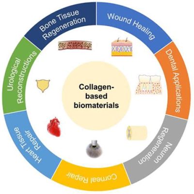 Collagen - En Revolutionär Biomaterial För Innovativ Vävnadsregenerering Och Medicinsk Teknik!