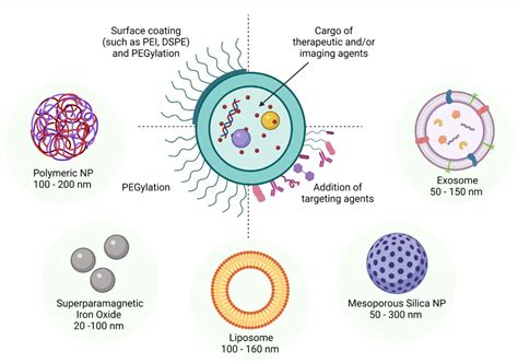  Dextran Applications: Från Biokompatibel till Snygg Nanopartikel!