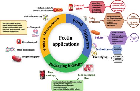 Pectin – En revolutionerande biopolymer i livsmedels- och läkemedelsindustrin!